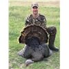 Image 2 : LA 2 - LOUDOUN COUNTY TURKEY HUNT