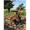 Image 3 : LA 2 - LOUDOUN COUNTY TURKEY HUNT