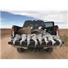 Image 2 : LA 6 - WEST TEXAS SANDHILL CRANE HUNT for TWO