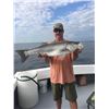 Image 1 : LA 10 - TWO DAY CHESAPEAKE BAY FISHING TRIP FOR SIX