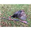 Image 1 : LA 13 - NOVA ARCHERY OR CROSSBOW 2 DAY SPRING GOBBLER HUNT FOR 1 YOUTH OR ADULT HUNTER