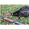 Image 3 : LA 13 - NOVA ARCHERY OR CROSSBOW 2 DAY SPRING GOBBLER HUNT FOR 1 YOUTH OR ADULT HUNTER