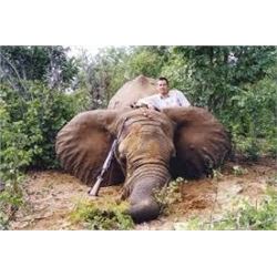 LA 14 - AFRICAN ELEPHANT SAFARI IN ZIMBABWE