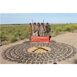 LA 18 - ARGENTINE WING SHOOTING - DOVE HUNT FOR FOUR HUNTERS