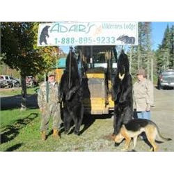 LA 28 - CANADIAN BLACK BEAR HUNT FOR TWO HUNTERS