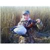 Image 2 : LA 32 - CHESAPEAKE BAY YOUTH DUCK & GOOSE HUNT FOR FOUR