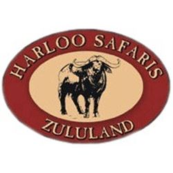 LA 33 - SOUTH AFRICAN PLAINS GAME SAFARI FOR TWO HUNTERS/TWO OBSERVERS