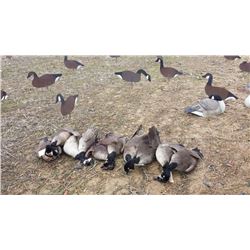 CHESAPEAKE BAY DUCK & GOOSE HUNT FOR FOUR
