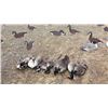 Image 1 : CHESAPEAKE BAY DUCK & GOOSE HUNT FOR FOUR