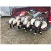 Image 4 : CHESAPEAKE BAY DUCK & GOOSE HUNT FOR FOUR