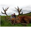 Image 3 : SCOTTISH RED STAG HUNT FOR ONE HUNTER