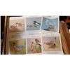 Image 4 : 24 FULL SET BIRDS OF CANADA 1959 PRINTS, MINT 10X13