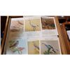 Image 5 : 24 FULL SET BIRDS OF CANADA 1959 PRINTS, MINT 10X13