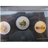 Image 2 : 2013 $2 COIN SPECIAL EDITION ENSEMBLE SPECIMEN SET, YOUNG WILDLIFE, BLACK BEAR