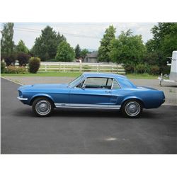 FRIDAY NIGHT 1967 FORD MUSTANG GTA NUT AND BOLT RESTORATION