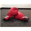 Image 2 : AUTHENTIC MUHAMMAD ALI BOXING GLOVES