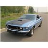Image 3 : 1969 FORD MUSTANG 390 S CODE 4 SPEED FASTBACK