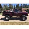 Image 1 : 1978 CHEVROLET SCOTTSDALE SHORT BOX STEPSIDE
