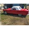 Image 4 : 1955 FORD THUNDERBIRD CONVERTIBLE ROADSTER
