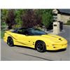 Image 5 : 2002 PONTIAC TRANS AM CONVERTIBLE WS6 ONLY 6700KM