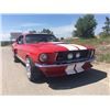 Image 10 : 1967 SHELBY GT350 FASTBACK SHOW CAR