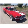 Image 11 : 1967 SHELBY GT350 FASTBACK SHOW CAR
