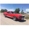 Image 12 : 1967 SHELBY GT350 FASTBACK SHOW CAR