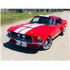 Image 2 : 1967 SHELBY GT350 FASTBACK SHOW CAR