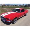 Image 3 : 1967 SHELBY GT350 FASTBACK SHOW CAR