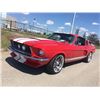 Image 4 : 1967 SHELBY GT350 FASTBACK SHOW CAR