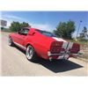 Image 7 : 1967 SHELBY GT350 FASTBACK SHOW CAR