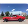 Image 8 : 1967 SHELBY GT350 FASTBACK SHOW CAR