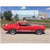 Image 9 : 1967 SHELBY GT350 FASTBACK SHOW CAR