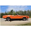 Image 1 : 1973 FORD MUSTANG MACH I CONVERTIBLE