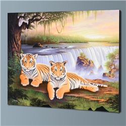 Tiger Falls by Rattenbury, Jon