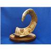 Image 1 : Carved Ram Horn by Tom Cooper- Base 11"L X 4.5"W- Horn- 12"