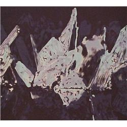 Peter Alexander (b. 1939) American, SITKA, 1988, color lithograph, signed in pencil, from the n...