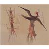 Image 1 : Wilfredo Lam (1902-1982) Cuban, SANS TITRE (plate 4), color aquatint etching, signed in pencil,...