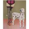 Image 1 : Michel Plaisir (20th Century) European, DALMATION & GIRL, color lithograph, signed in pencil, f...