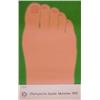 Image 1 : Tom Wesselman (b. 1931) American, FOOT, 1970-1972, color screenprint, signed in pencil, from th...
