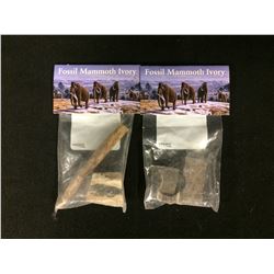 FOSSIL MAMMOTH IVORY LOT