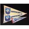 Image 1 : VANCOUVER WHITECAPS AUTOGRAPHED PENNANT LOT