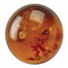Image 1 : Golden Baltic Amber Aaa Round Cabochon 3.87cts Loose Gemstone