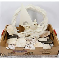 CORAL CARVING WITH LOT OF SEASHELLS & SAND DOLLARS