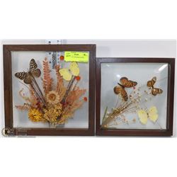 2 BUTTERFLY SHADOW BOXES