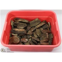 LOT OF OVER 100 PIECES OF PETRIFIED WOOD.