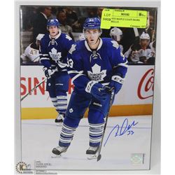 TORONTO MAPLE LEAFS MARK ARCOBELLO