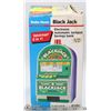 BLACK JACK ELECTRONIC SAVINGS BANK