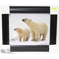 POLAR BEARS FRAMED PICTURE 16X20