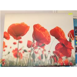 POPPY STRETCH CANVAS PICTURE 35"X45"
